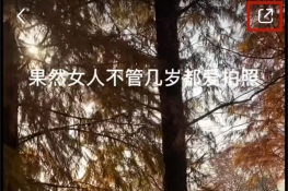 小红书的水印在哪里设置去除